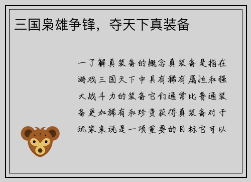 三国枭雄争锋,夺天下真装备