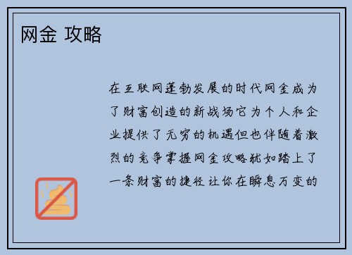 网金 攻略